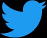 Twitter conversion API tag